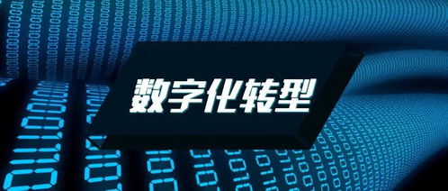 企業(yè)數(shù)字化轉(zhuǎn)型 勢在必行之路與Datatist的數(shù)字化賦能角色